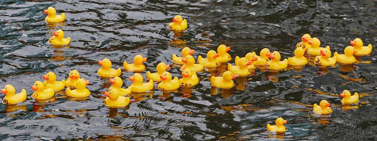 cosmic-rubber-duck-race.jpg